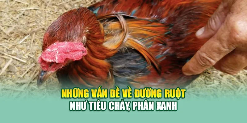 Những vấn đề về đường ruột như tiêu chảy, phân xanh