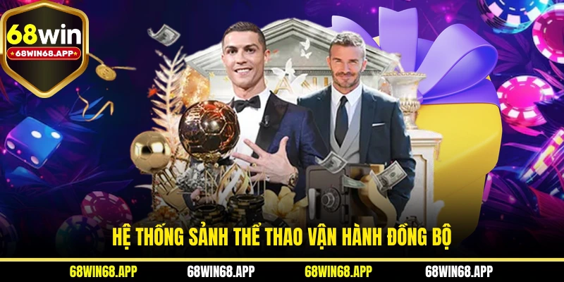 Hệ thống sảnh thể thao vận hành đồng bộ