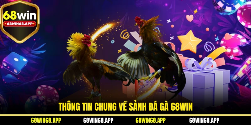 Thông tin chung về sảnh đá gà 68WIN 